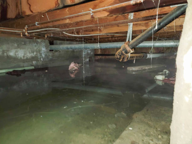 Best 24/7 water damage repair  in Highland, MD