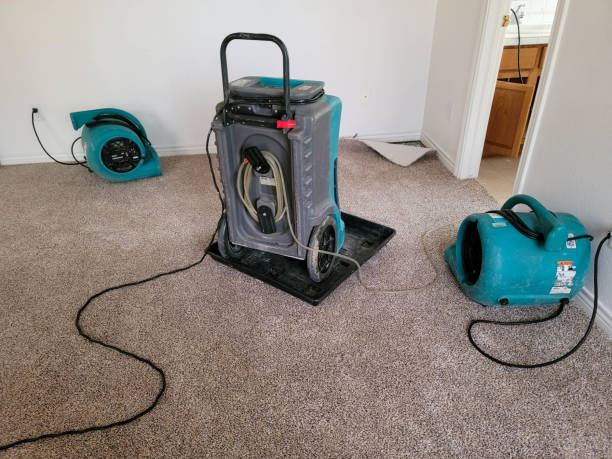 Best Local water damage restoration  in Highland, MD