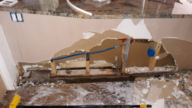 Best Ceiling water damage repair  in Highland, MD