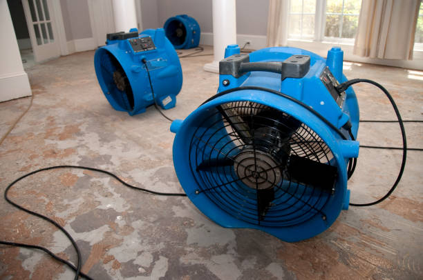 Best Carpet water damage restoration  in Highland, MD