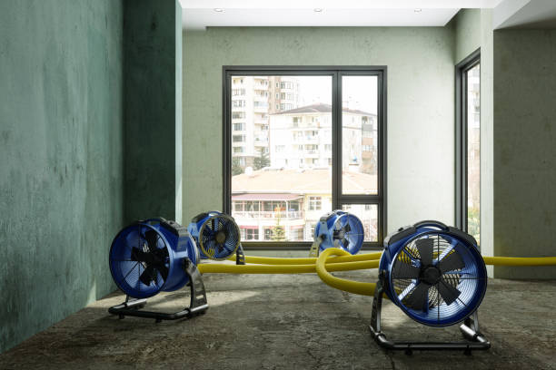 Best Basement water damage restoration  in Highland, MD